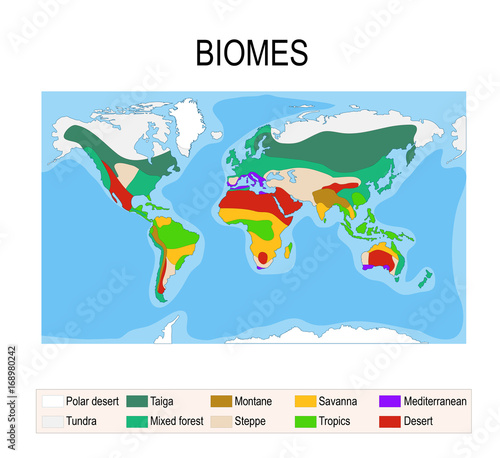 Biomes. Terrestrial ecosystem
