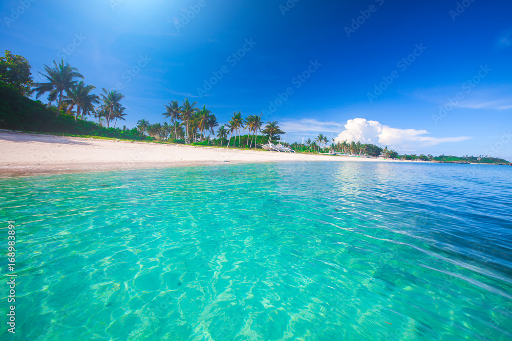 Fototapeta premium plaża i tropikalne morze