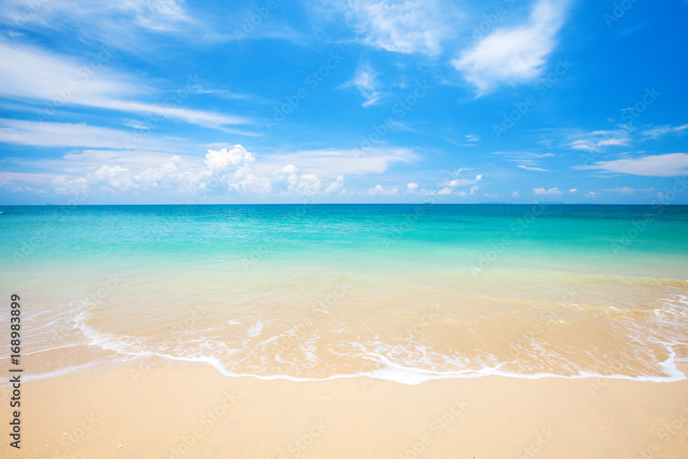 Fototapeta premium beach and tropical sea