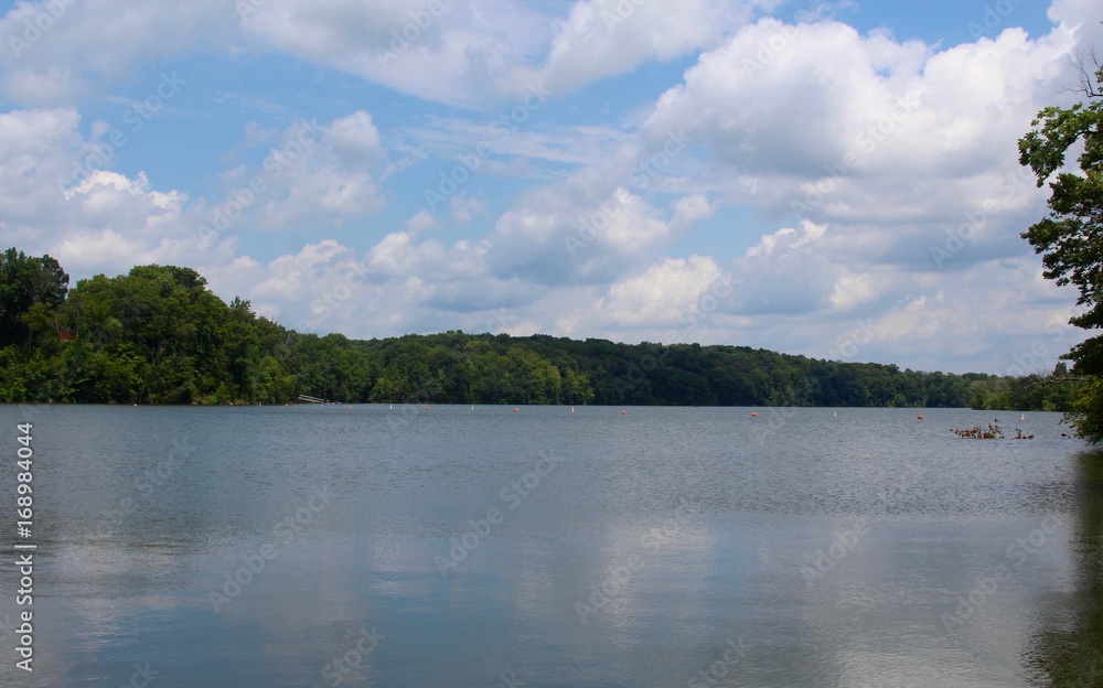 The lake and the tree landscape with the white clouds in the sky.