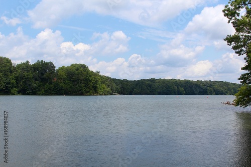 The view of the lake from the shore of the lake.