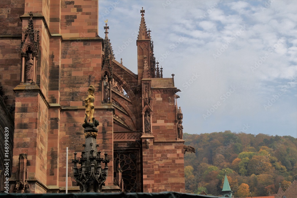 Das ist Freiburg: Architektur und Natur