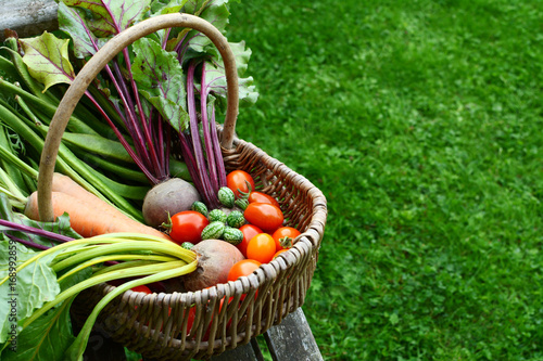 Quadro su tela Woven basket filled with freshly harvested vegetables from an allotment