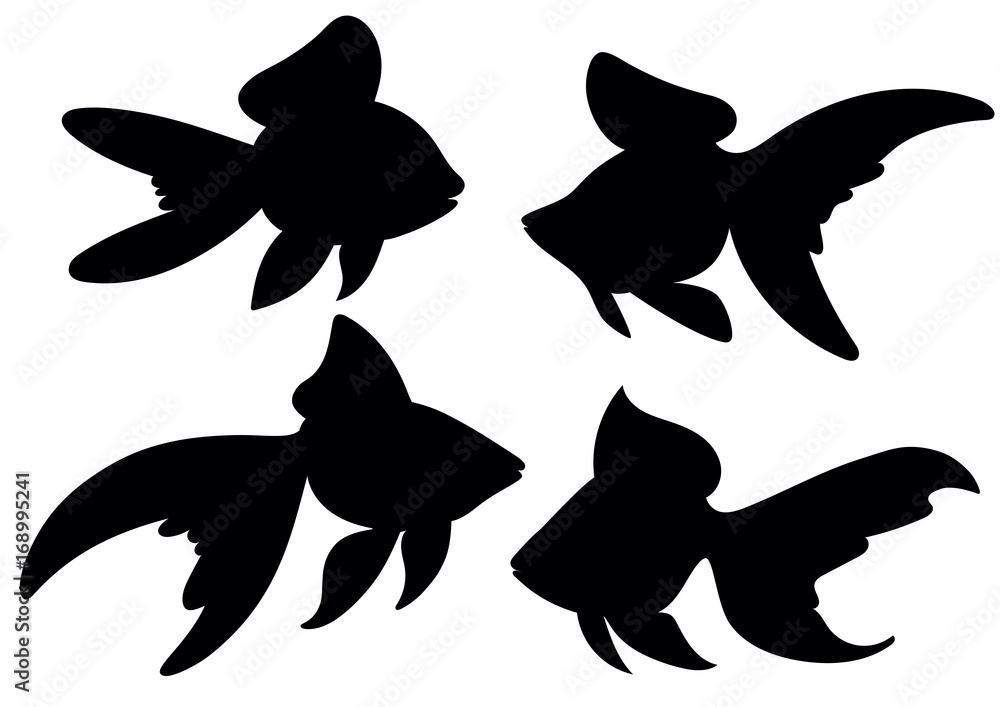 Fototapeta premium Vector drawing silhouette of a goldfish