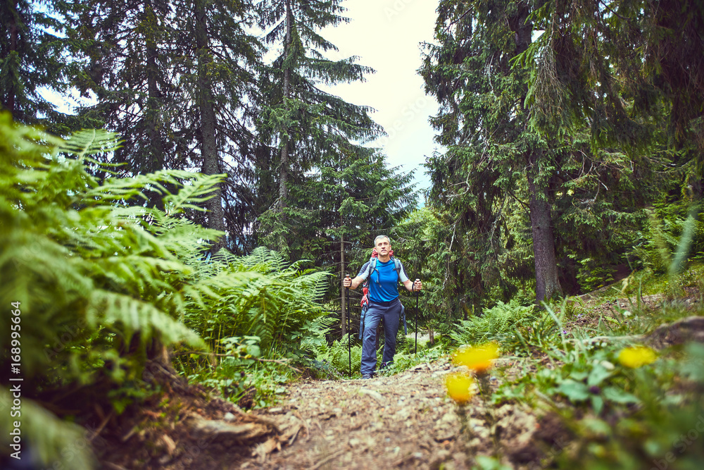 Hiking in the mountains in the summer with a backpack. Hiking in the mountains in the summer with a backpack.