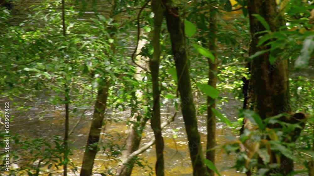 A medium shot of a river. Panning to the left. A medium shot of a river. Panning to the left.