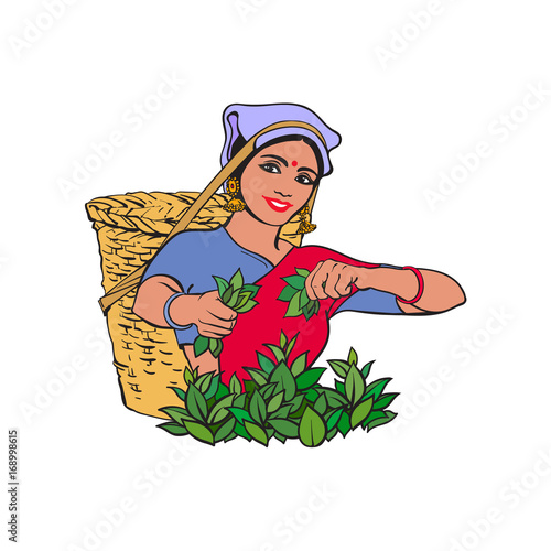 vector sketch cartoon indian Sri-lanka local woman collecting tea in tradition way smiling in big wicker basket. Traditionally dressed female character, hand drawn sri-lanka , india symbols