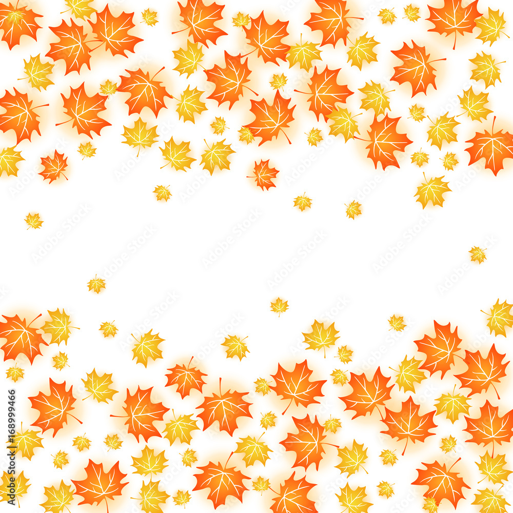 Autumn background illustration. Vector design of maple leaf fall on white