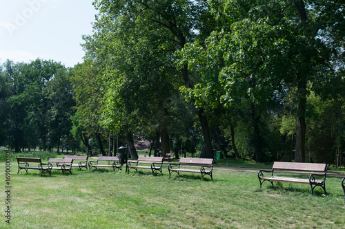 Composition of park benches in a green garden