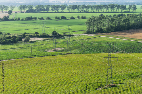 Power pole in the middle of agricultural fields