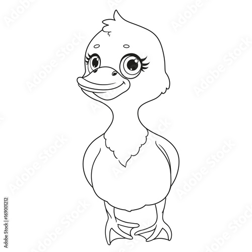 Little toeded duckling outlined isolated on white background
