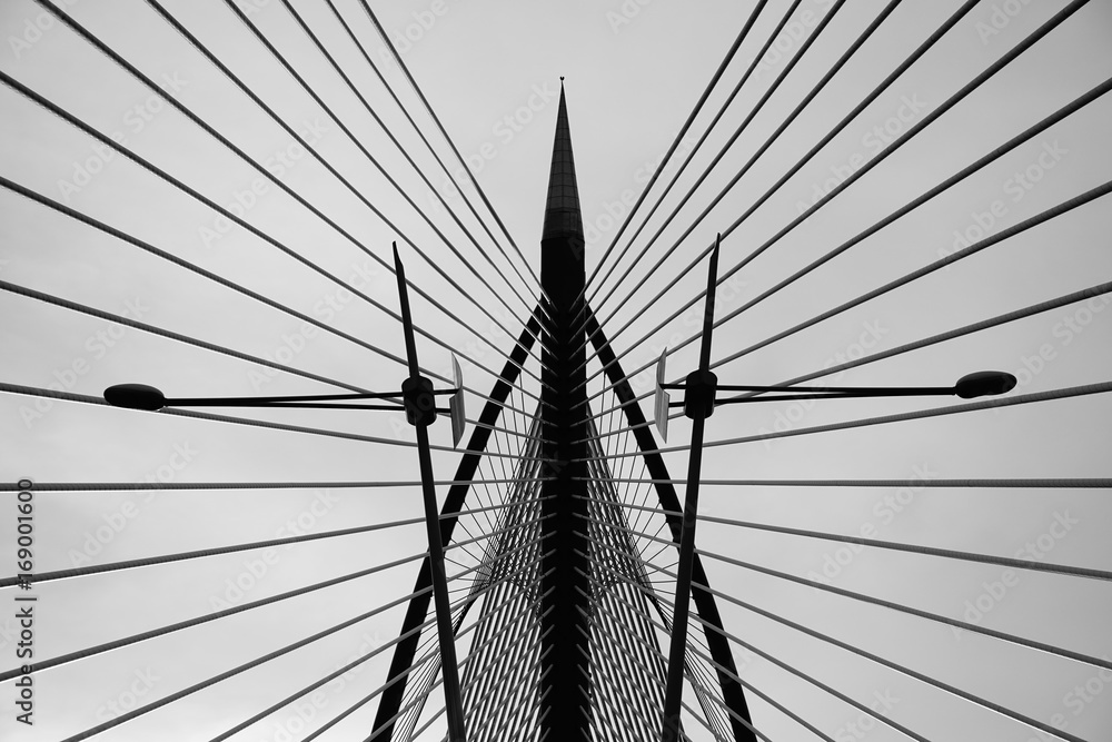 Fototapeta premium Modern bridge architecture at Putrajaya on a Black and white