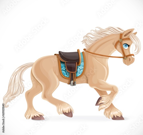 Cute horse harnessed isolated on a white background