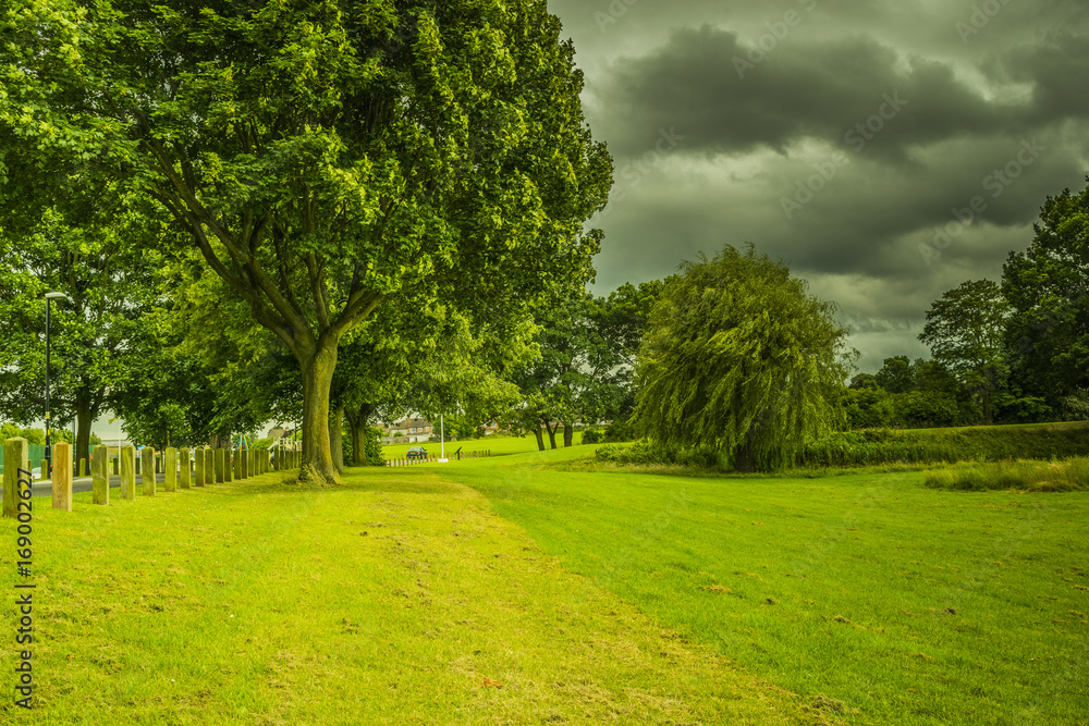 beauiful park landscape with cloudy sky