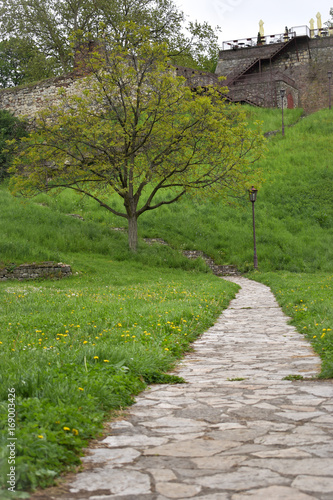 Tree in the park and charming stone path