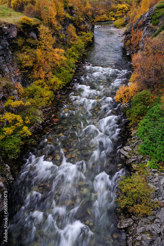 Schlucht der Driva im Herbst, Dovrefjell, Norwegen