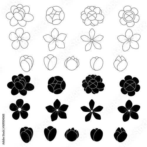 Jasmine flower icon set on white background
