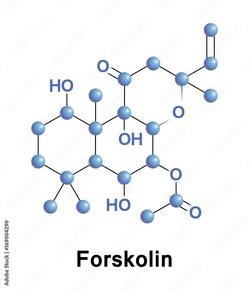 Forskolin is a labdane diterpene that is produced by the Indian Coleus plant Forskolin is a labdane diterpene that is produced by the Indian Coleus plant