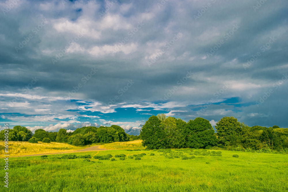 Obraz premium Panorama view of beautiful summer park with cloudy sky