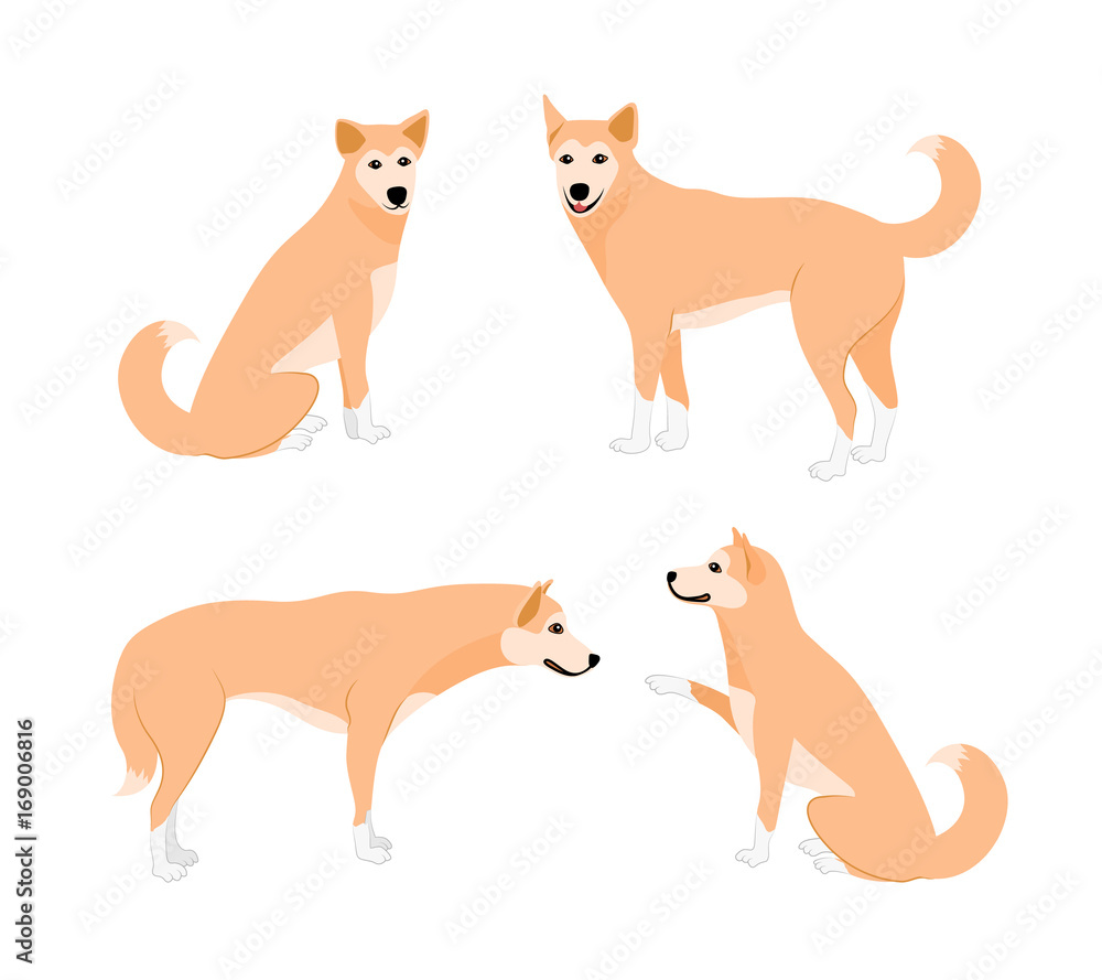 Set of cute dogs. Vecter illustration isolated on white background. Dog icons collection for cynology, pet clinic and pet shop.