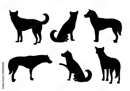 Set of dogs silhouette. Vecter illustration isolated on white background. Dog icons collection for cynology  pet clinic and pet shop.