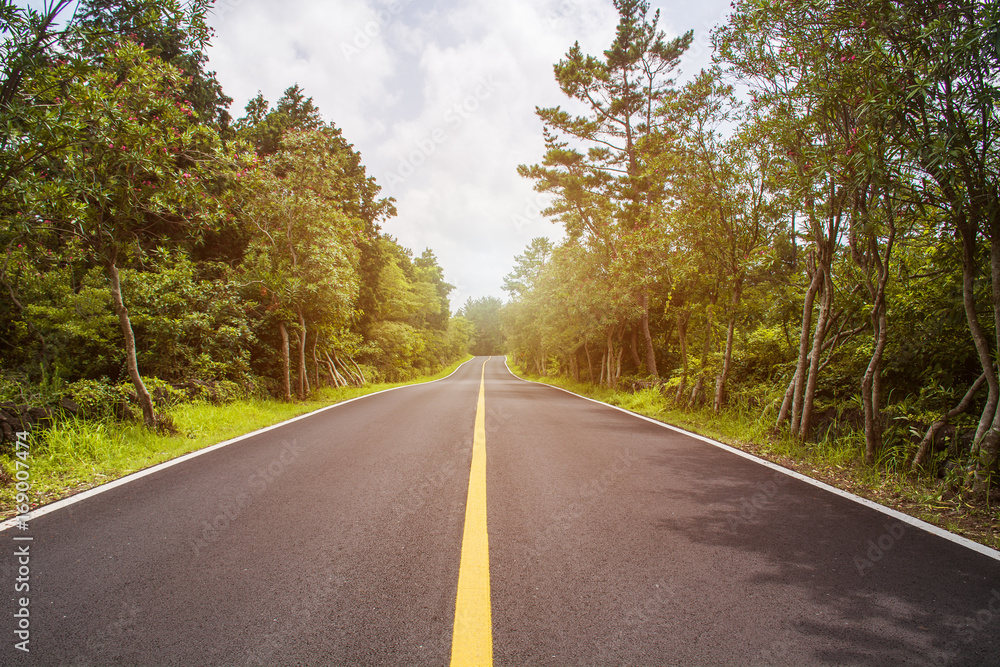 Fototapeta premium Endless Road 