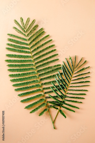 minimal concept Flat layTropical leaves on pastel orange paper background.