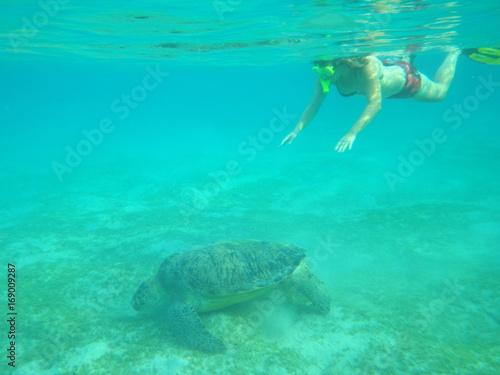 Woman swimming with a sea turtle
