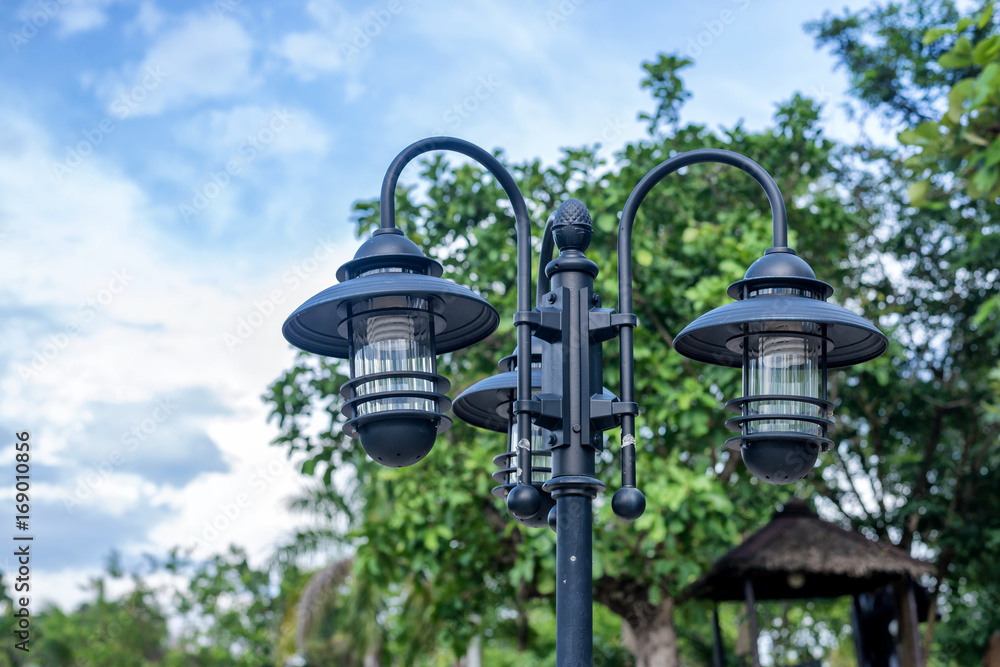 street lamp, black  lamp pole, pair of lamp