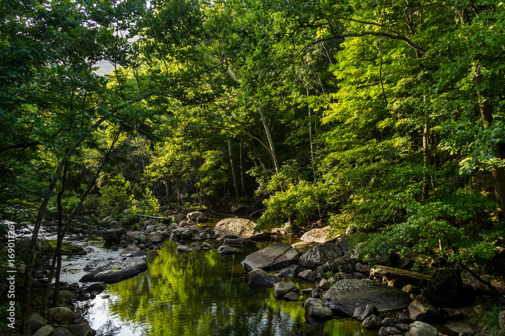 Calm waters at Glade Creek in southern West Virginia, with green trees, large stones and a reflection. Calm waters at Glade Creek in southern West Virginia, with green trees, large stones and a reflection.