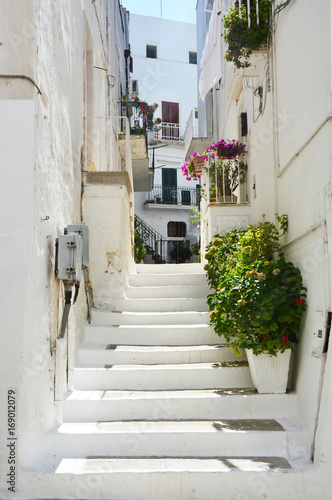 Beautiful view of scenic narrow alley with plants in romantic white city of Ostuni, Apulia, southern Italy 