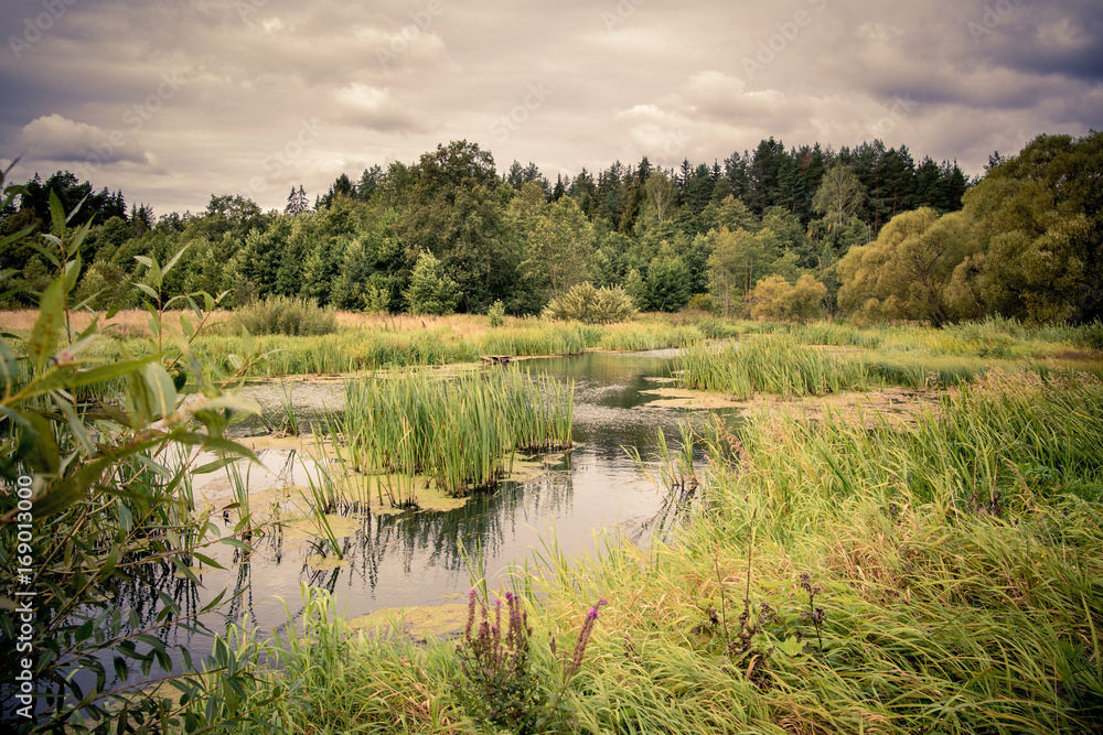 autumn landscape with river and forest in Belarus autumn landscape with river and forest in Belarus