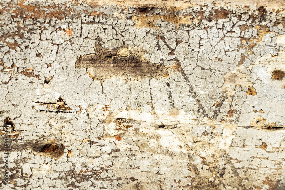 Obraz premium Brown grungy wall Sandstone surface background