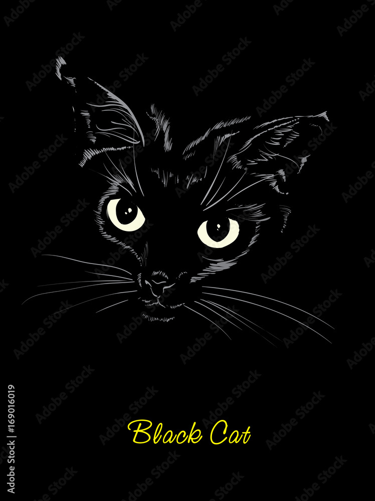 Vector sketch. Black cute kitty on a black background. Vector sketch. Black cute kitty on a black background.
