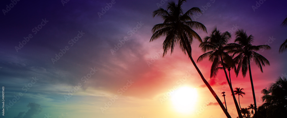 Palm trees and sunset on Caribean.