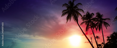 Fototapeta Naklejka Na Ścianę i Meble -  Palm trees and sunset on Caribean.
