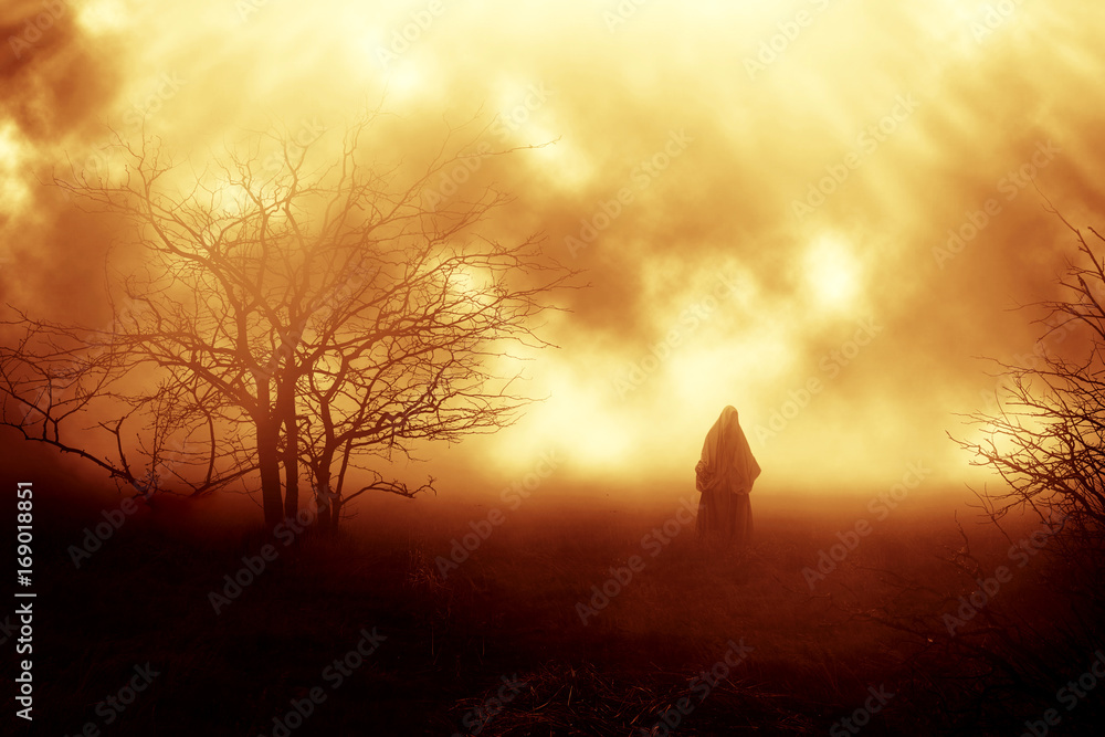 Obraz premium Horror Halloween background.