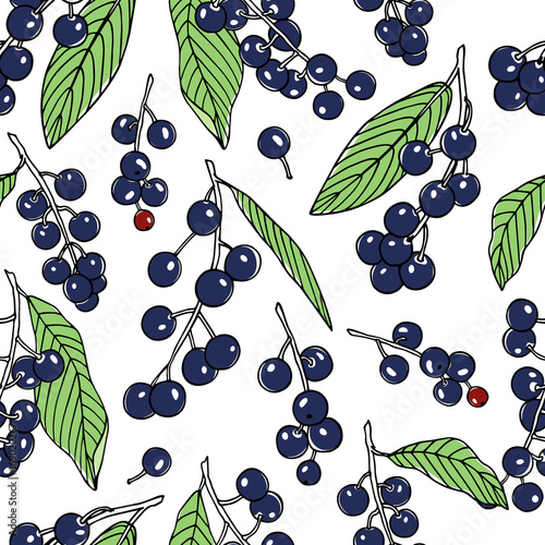 Hand drawn bird cherry pattern