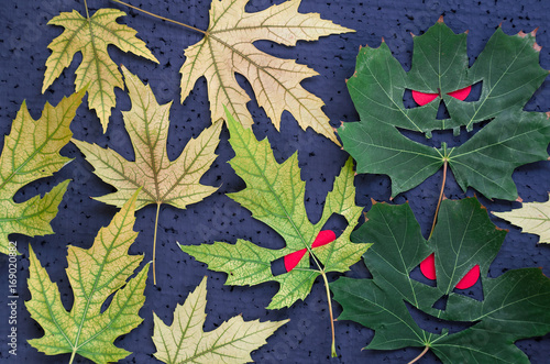 Autumnal pattern in halloween style - maple leaves in the form of evil faces with red eyes on a black background