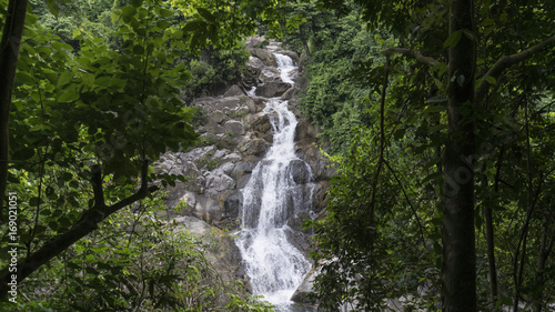Fototapeta Naklejka Na Ścianę i Meble -   Waterfall in the Vietnamese jungle.