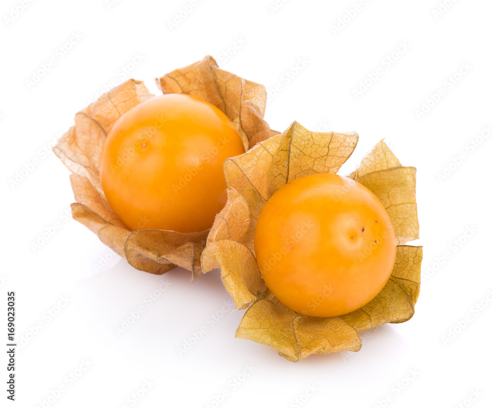 cape gooseberry on white background. physalis cape gooseberry on white background. physalis