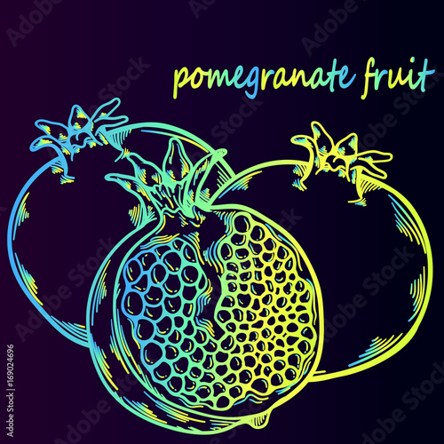 A bright neon sketch of garnet fruit. Stylish poster. Healthy and useful fruit