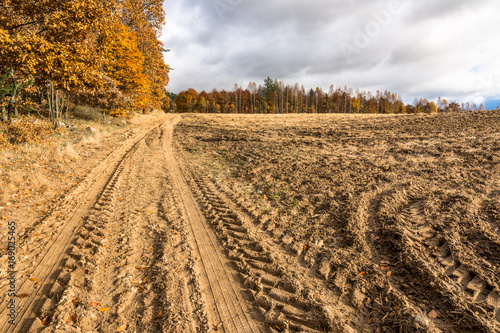 Agricultural road through field in autumn  landscape with plowed land  stubble and forest with yellow trees  polish countryside scenery