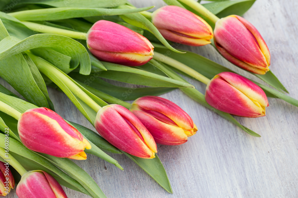 Bunch of Many Spring Tulip Flowers on Table Bunch of Many Spring Tulip Flowers on Table