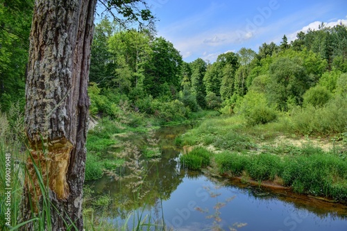 Russian landscape