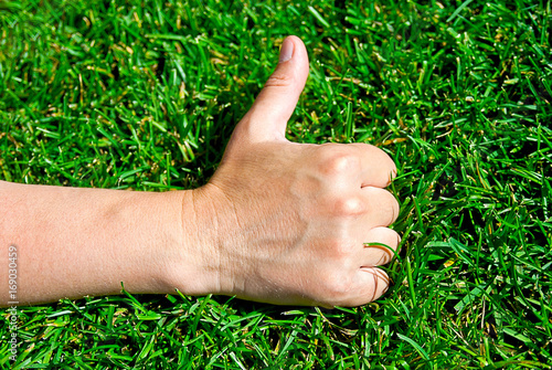 Hand gesture on green grass © alexandrink1966