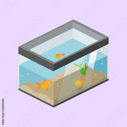 Aquarium with fish isometric vector