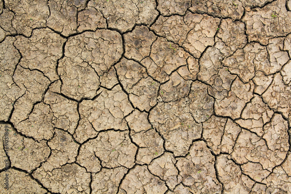 Look straight up on cracked dry land Look straight up on cracked dry land