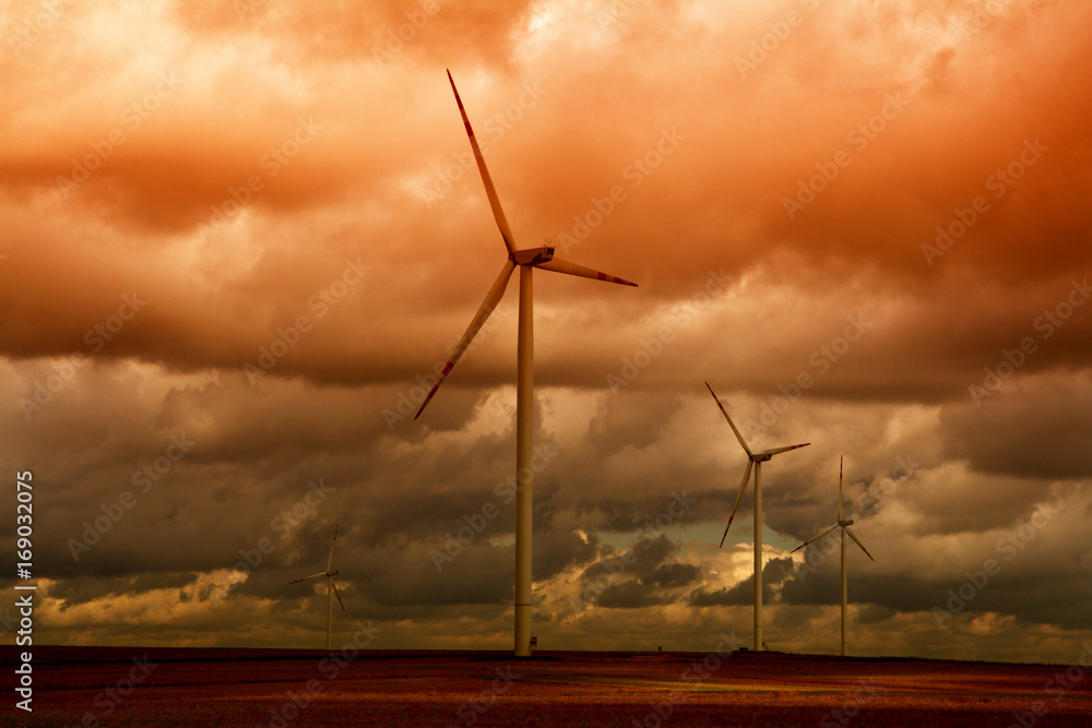 Obraz premium Windmills producing electricity (mini power stations) illuminated the setting sun