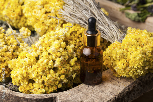 Dwarf everlast (Helichrysum arenarium) flowers and aroma oil 